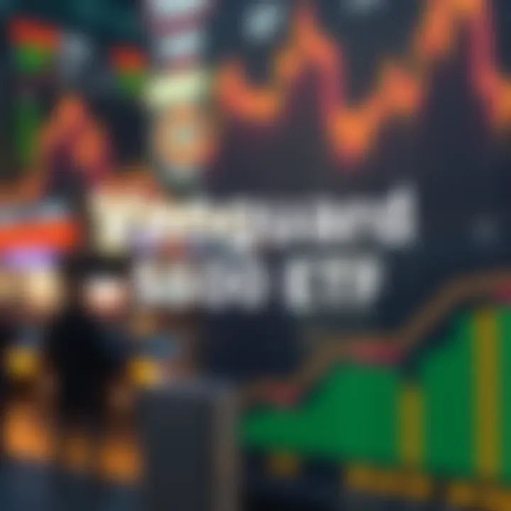 Magnificent In-Depth Analysis of the Vanguard S&P 500 ETF