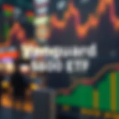 Magnificent In-Depth Analysis of the Vanguard S&P 500 ETF Magnificent In-Depth Analysis of the Vanguard S&P 500 ETF