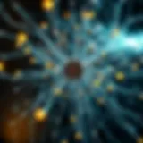 The intricate web of discussions surrounding cryptocoins on Reddit