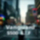 In-Depth Analysis of the Vanguard S&P 500 ETF Introduction